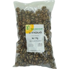Decostyle Selvi Kozalağı Doğal 1000 gr Paket