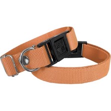 Decostyle Köpek Tasması Dokuma 2 cm - Min: 30 cm - Max: 50 cm Tcu