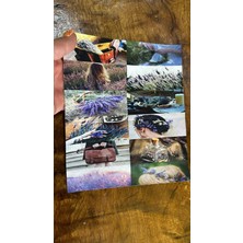 Gönülden Tasarım Lavanta Bahçeleri Resimli Arma Dikiş Aplike 23X20 cm