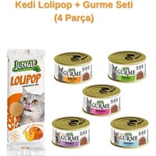 Karışık Pawleno Kedi Lolipop + Gurme Seti 4 Parça