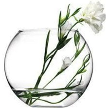 Paşabahçe Büyük Boy Cam Fanus Vazo Akvaryum 20-16 cm