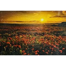 Elegantshop 5d Yapışan Boncuk Mozaik Tablo 30*40 cm XQH90706