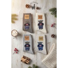 Kardeşler Çorap Kadın Alpaka Yün Kışlık Havlu Kalın Soket Ayıçık Desenli Çorap 4'lü Paket