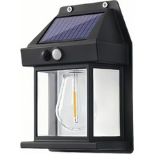Forlife 12W Solar Dekoratif Bahçe Armatürü FL-3330