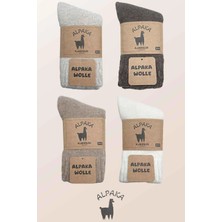 Kardeşler Çorap Kadın Alpaka Yün Kışlık Havlu Kalın Soket Çorap 4'lü Paket