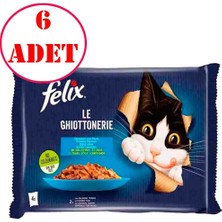 Felix Multipack Somonlu ve Ton Balıklı Yetişkin Kedi Yaş Maması 4X85 gr 6 Ad