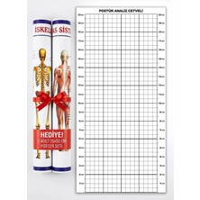 And Postür Analiz Cetveli Tablosu - Posture Analysis Grid + İskelet & Kas Sistemi Poster Hediyeli