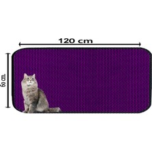 60 x 120 Renkli Kedi Kumu Paspası