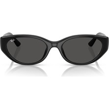 Ray-Ban Güneş Gözlüğü