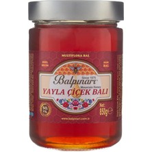 Balpınarı Özel Seçim Yayla Çiçek Ham Balı 850 gr