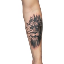 Dövme Kutusu Geçici Dövme | Aslan Tasarımı – Gücün, Cesaretin ve Krallığın Simgesi