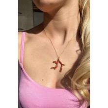 Spossy Silver Jewelry Doğal Coral (Mercan) Taşlı Kolye