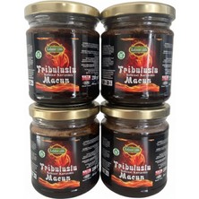 AKS Doğal Yaşam Lokman Tribuluslu Atom Kuvvetli Bitkisel Karışımlı  Macun 4x 230GR