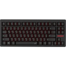 Wooting 80HE Tenz Takeover Lekker Hall Effect Analog Manyetik Switch Gaming Klavye