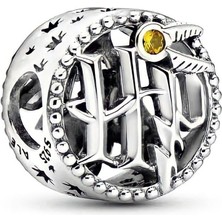 Corney Design Hary Potter Openwork Icon Logo Charm 925 Ayar Gümüş