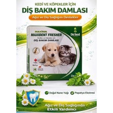 Dr. Sed Maxisol Kedi ve Köpekler Için Diş Bakım Damlası