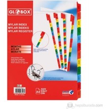 Globox Mylar Separetör A-Z 170 gr Çıtçıtlı Dosya Dayanıklı Plastik Malzeme ile Renkli Düzenleyici