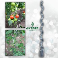 Aktepe Group 20 Adet 150 Cm Metal Spiral Bitki Destek Çubuğu Hobi Bahçesi Bitki Bağlama Teli Sebze ve Çiçek Teli