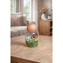 Decoroon Mini Cam Fanus Teraryum Dekor 10 cm – El Yapımı Masaüstü Bitki Tasarımı, Modern Ev Ofis Süs Vazo