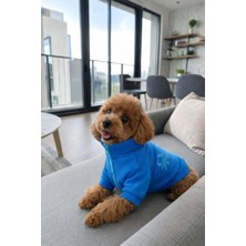 United Colors Of Benetton BNT-J2503 Ceket Mavi S