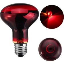 Şavk 250W Isı Ampulü R125 220V Kırmızı Cam