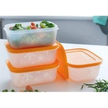 Tupperware Alaska Set 4lü Sızdırmaz Tasarım Çok Amaçlı Kullanım için Pratik Saklama Kabı