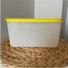 Alaska 2.5 Litre Sarı