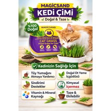 Magicsand %100 Doğal Kedi Çimi File Hediyeli - Tüy Yumağı Önleyici Etkili Sindirim Sistemi Dostu