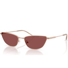 Emporio Armani Emporıo Armanı Güneş Gözlüğü 2174 301175 55