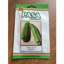 Paşa Tohumculuk Kabak Tohumu Karaçam 5 gr