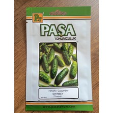 Paşa Tohumculuk Hıyar Turşuluk Tohum Çıtırbey(Kornişon) 5gr