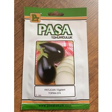 Paşa Tohumculuk Patlıca Tohumu TOPAN-374 5 gr