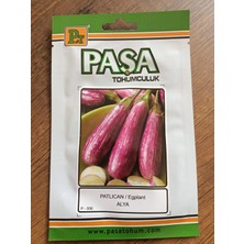 Paşa Tohumculuk Patlıcan Tohumu Alya 5 gr