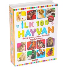 Epilons 1741 Flash Card Ilk 100 Hayvanlar Eğitici Kartlar -Dıytoy
