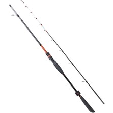 Ryuji Spectra 185 cm 50-300G Akisyonlu Tekne Kamışı