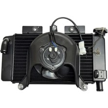Bardakcı Bike Radyatör Komple Set E5 SR250