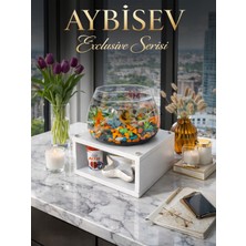 Beta Fanus Akvaryum Dekoratif  Masa Üstü Balık Fanusu Modern Ev Ofis Dekoru Şık Tasarım