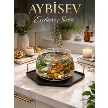 Beta Akvaryum Premium Lüks Cam Fanus Akvaryum  Balık Fanusu Modern Dekoratif Ürün