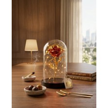 Siyah Tabanlı Fanus ve Kırmızı Sonsuzluk Gülü ve Kırmızı Peri LED Kahve Yanısüsü Dekor