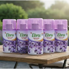 Ebru Oda Kokusu Lavanta Yedek 300 ml 5 Adet