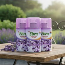 Ebru Oda Kokusu Lavanta Yedek 300 ml 3 Adet