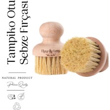 Fleur & Fume Tampiko Otu Ahşap Sapsız Gıda Temizleme Fırçası(Büyük Boy)