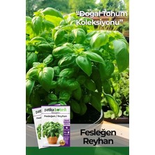 Botanik 100 Adet Yeşil Fesleğen - Yeşil Reyhan (Ocimum Basilicum) Tohumu