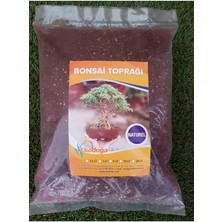 Toprağı 2,5 Lt Ithal Torf Perlit Kırmızı Pomza Lav Taşı Karışımlı Özel Bonsai Toprak