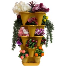 Katlı Şanslı Yonca Kule Saksı Seti Çiçek Bitki Sebze Meyve Salon Mutfak Banyo Bahçe Saksı Seti (Altın)