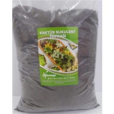 Tarım Kaktüs Sukulent Toprağı 10 Litre - Teraryum Için Uygun Toprak Ithal Torf Toprak Pomza Vermikulit