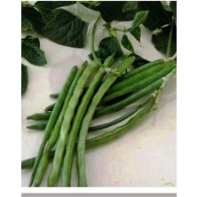 Tarım Ata Tohumu Yerli Börülce Karagöz 50 Adet Tohum