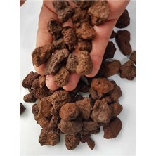 Taşı 10 kg 10-15 mm Akvaryum Pomzası Teraryum Taşı Kırmızı Pomza Lav Taşı Volkanik Cüruf