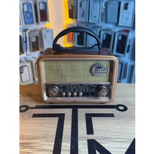 Avcı Teknoloji Market Retro Metal Tasarım Radyo Bluetooth Fm Am Sw USB Tf Kart Girişli Speaker