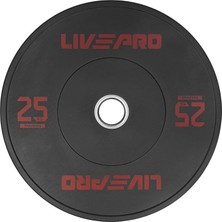 LP8038 Bumper Plaka